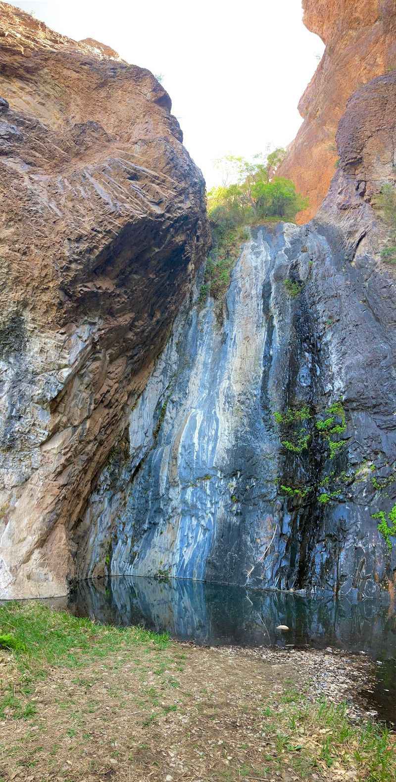 Cattail Falls, Big Bend National Park (Big Bend)