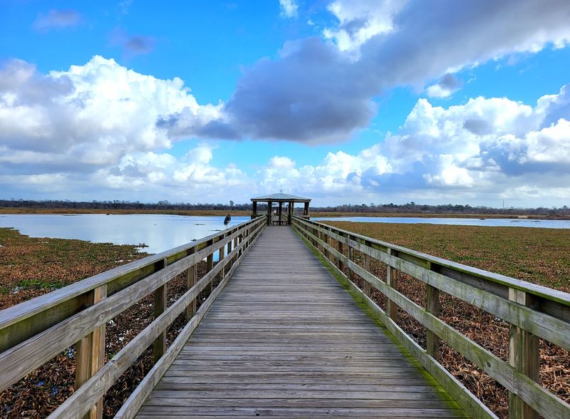 Cattail Marsh Scenic Wetlands & Boardwalk (Beaumont)