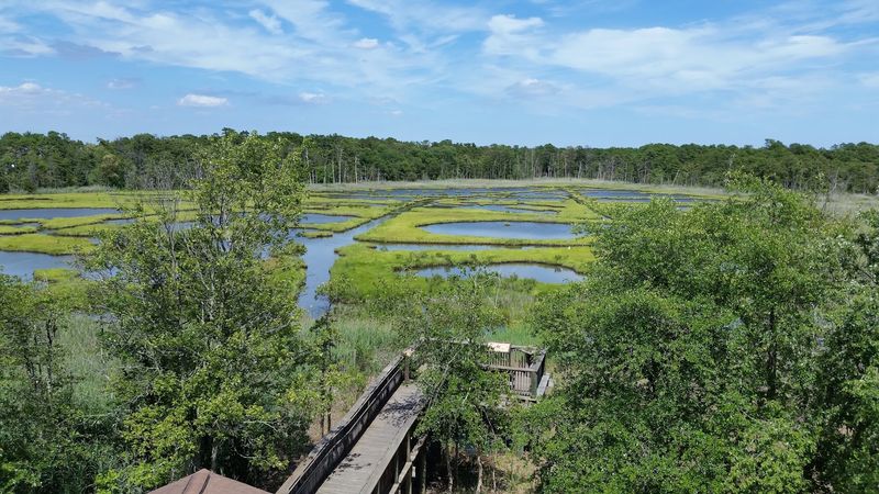 Cattus Island County Park Trails Cattus Island County Park Trails
