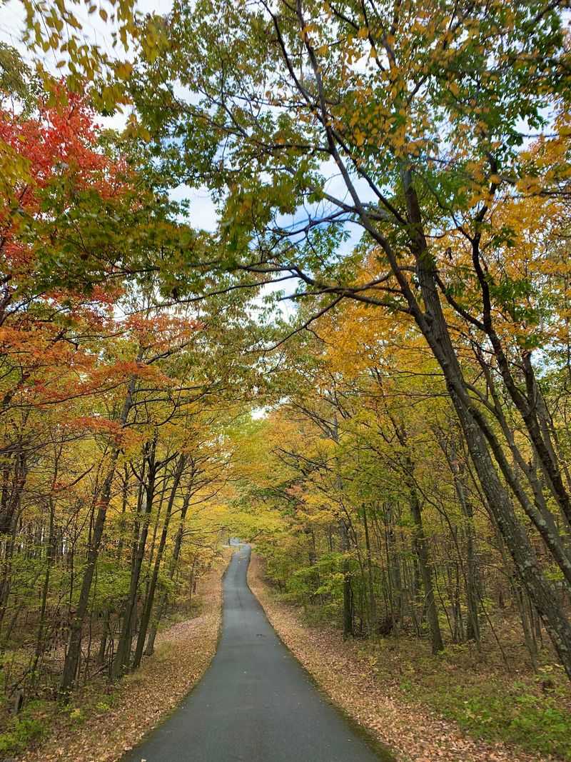 Cedar Swamp Trail - High Point State Park