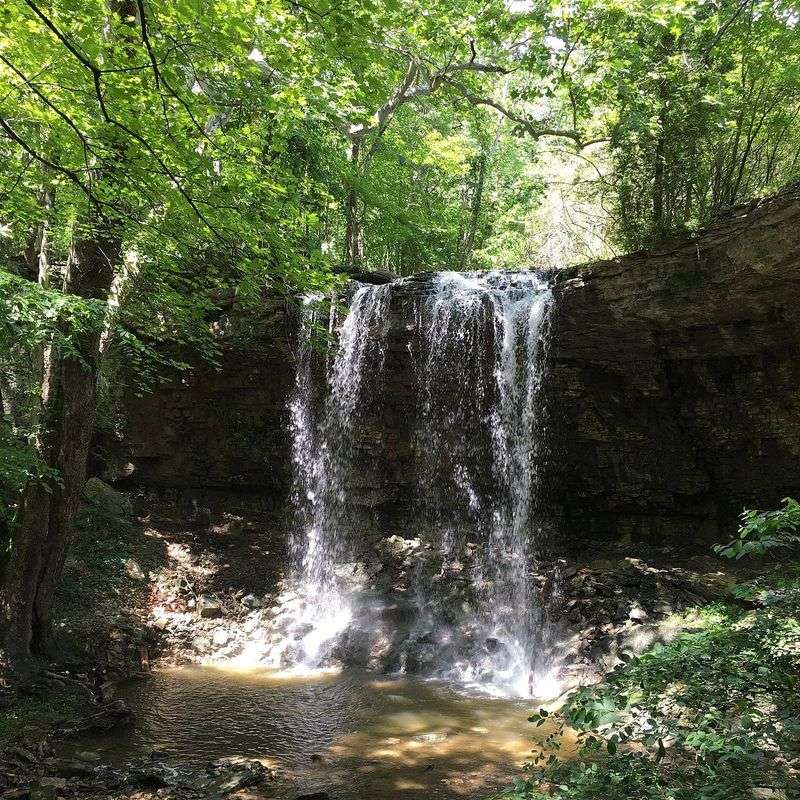 Charleston Falls Preserve, Tipp City