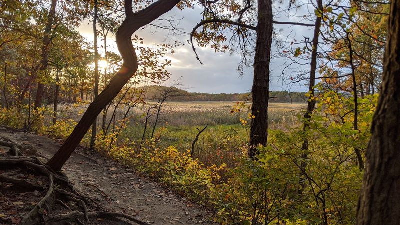 Cheesequake State Park Cheesequake State Park
