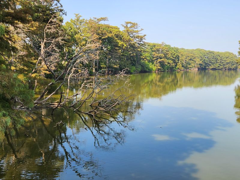 Chickasaw National Wildlife Refuge Chickasaw National Wildlife Refuge