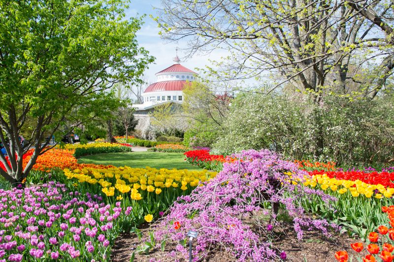 Cincinnati Zoo & Botanical Garden (Cincinnati)