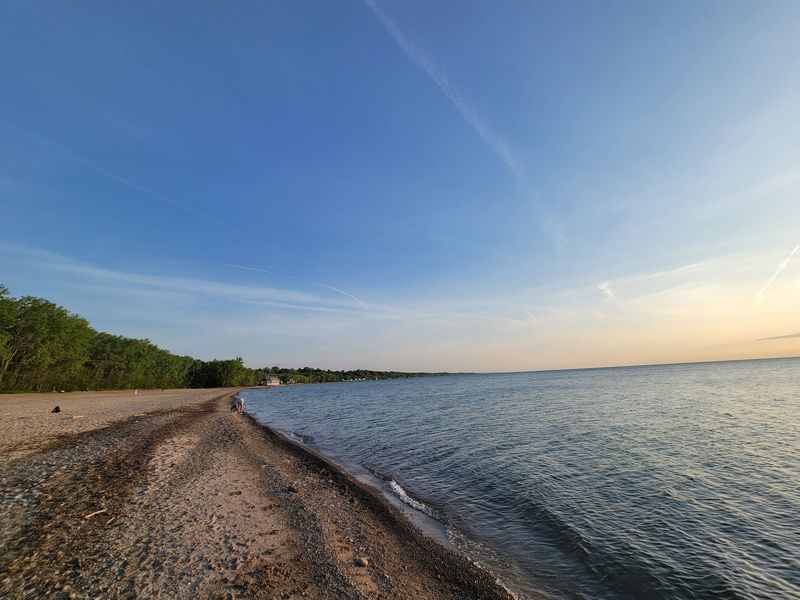 Clean Water And Wet Pebbles Improve The Search