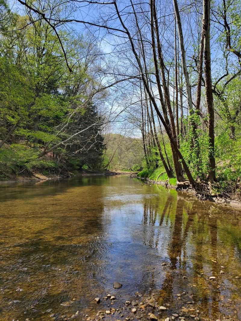 Clear Creek Adds Calm To The Wild Clear Creek Adds Calm To The Wild