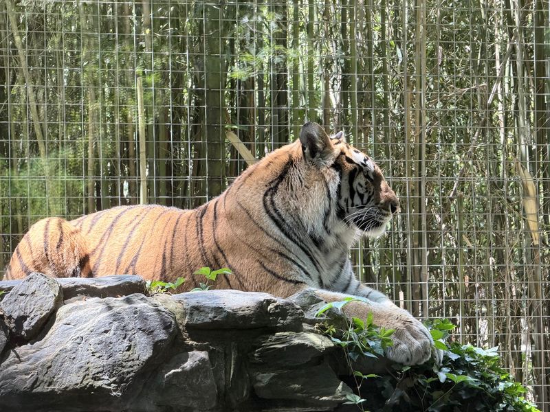 Cohanzick Zoo Cohanzick Zoo