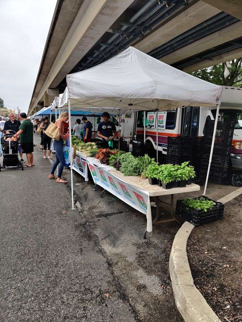 Collingswood Farmers Market, Collingswood Collingswood Farmers Market, Collingswood