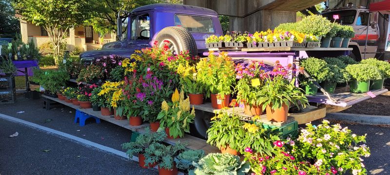 Collingswood Farmers Market - Collingswood