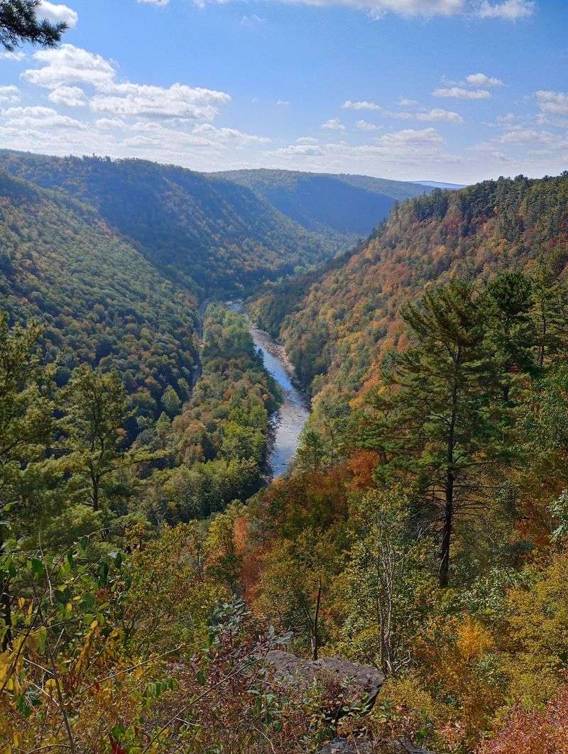 Colton Point State Park, Tioga County Colton Point State Park, Tioga County