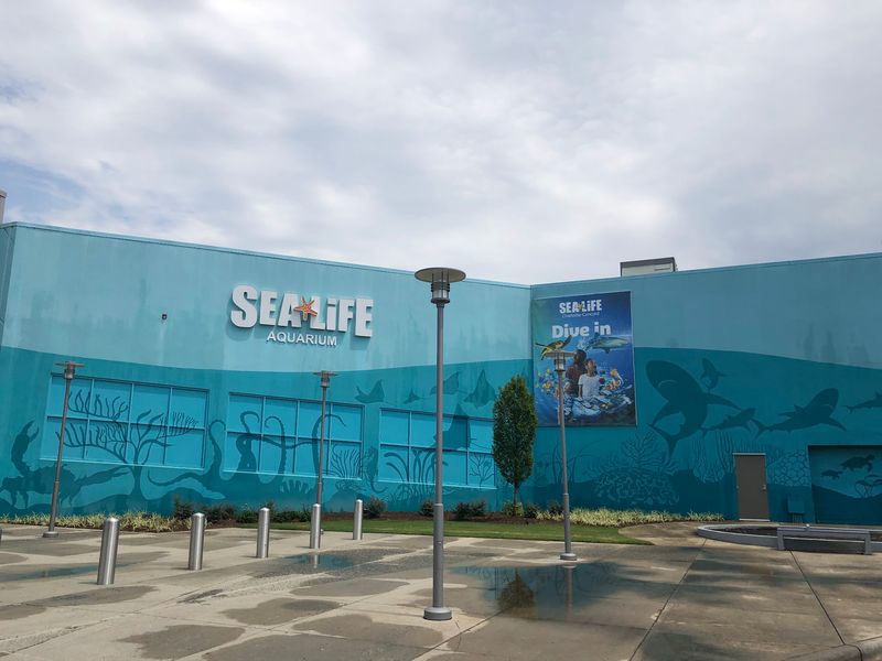 Concord Mills Location Makes the Visit Easy Concord Mills Location Makes the Visit Easy