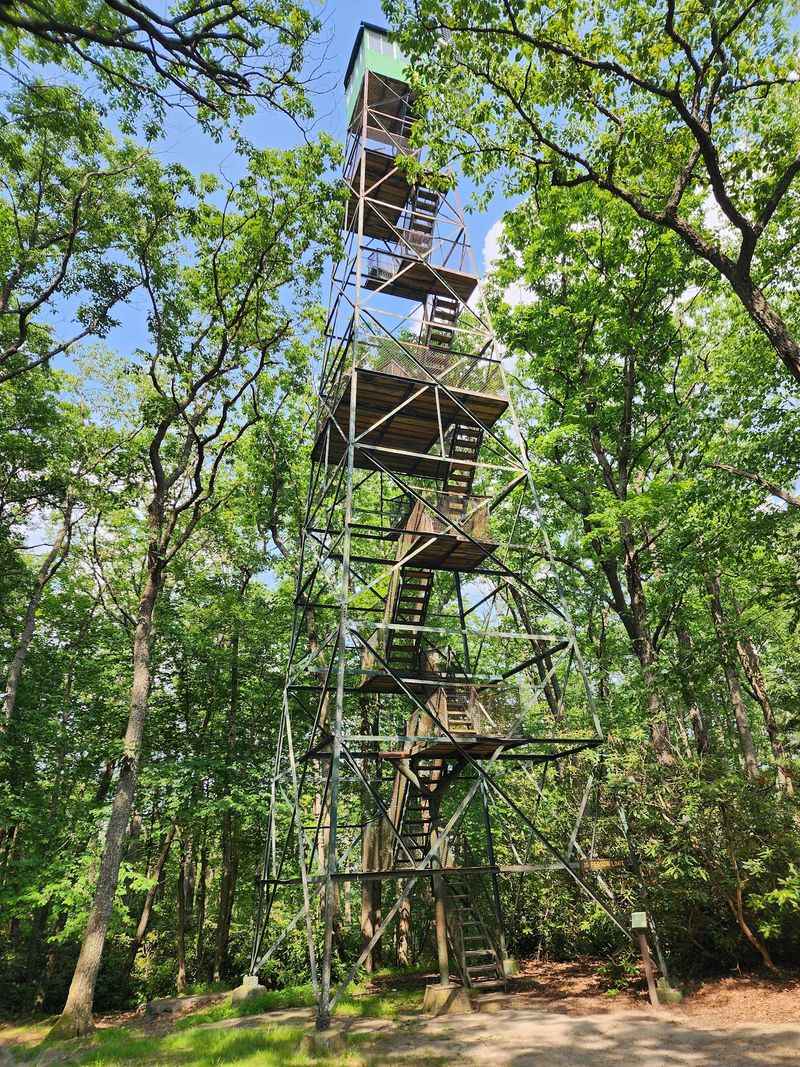 Cook Forest State Park Cook Forest State Park