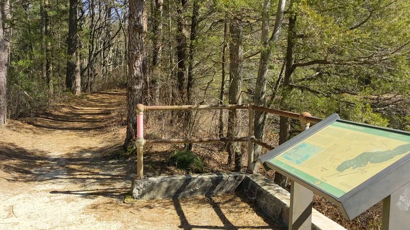 Cranberry Trail - Brendan T. Byrne State Forest