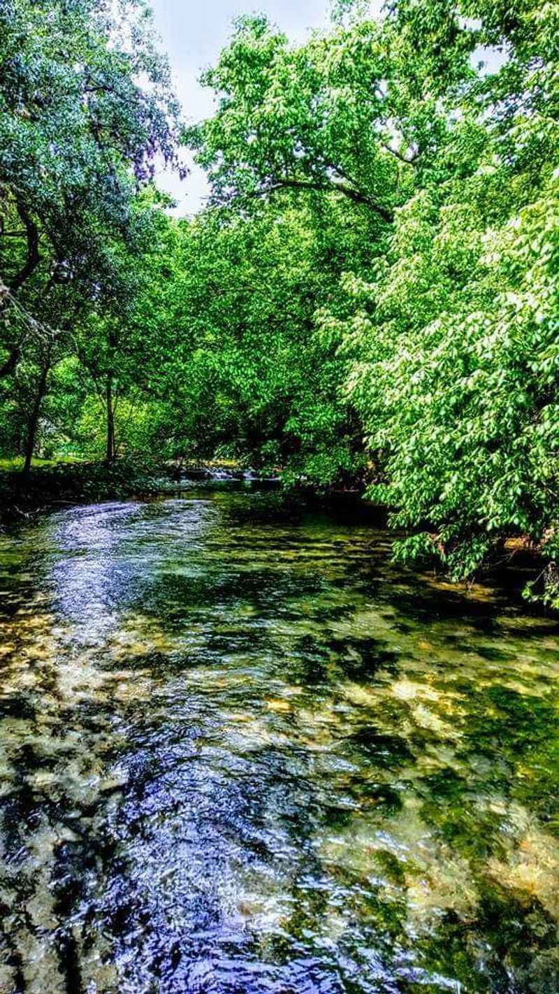 Crystal Clear Swimming Spots That Stay Cool Year-Round Crystal Clear Swimming Spots That Stay Cool Year-Round