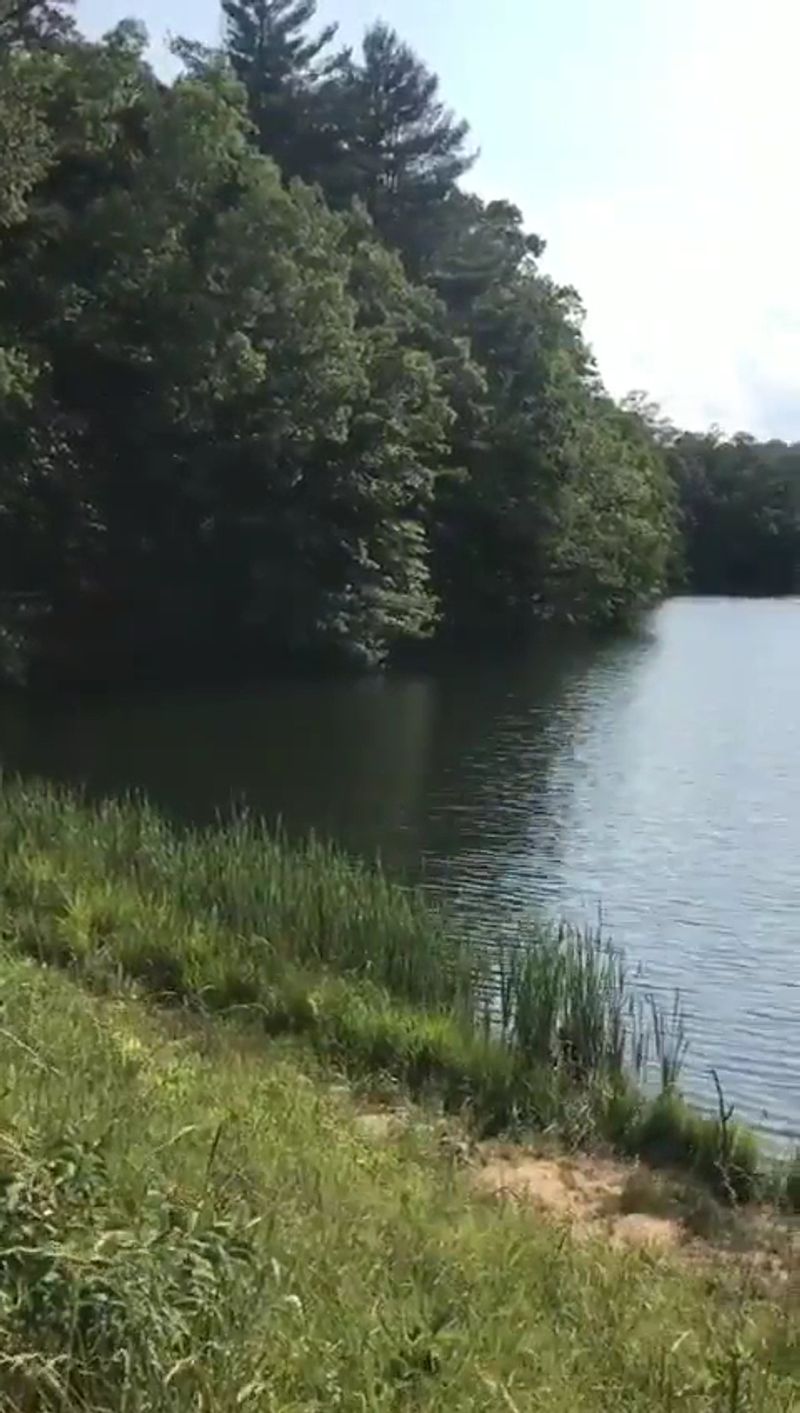 Crystal Clear Water That Speaks for Itself