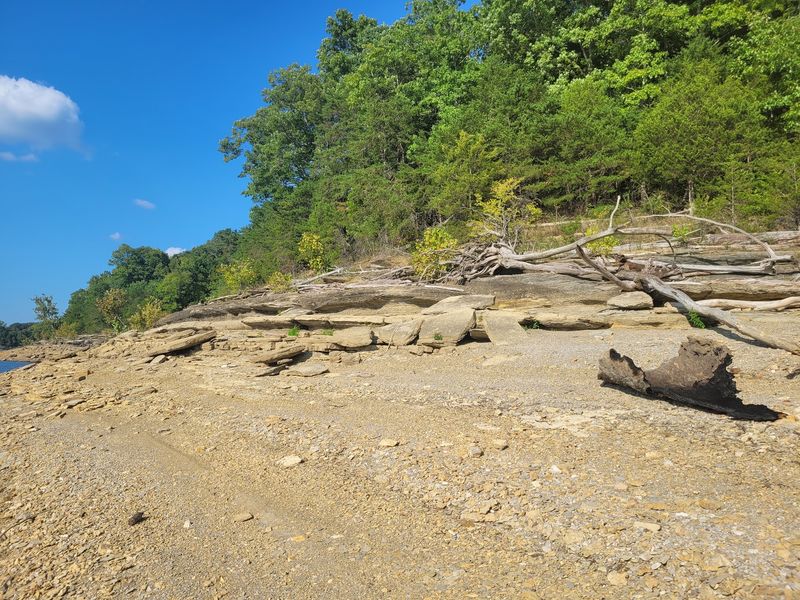 Cumberland River