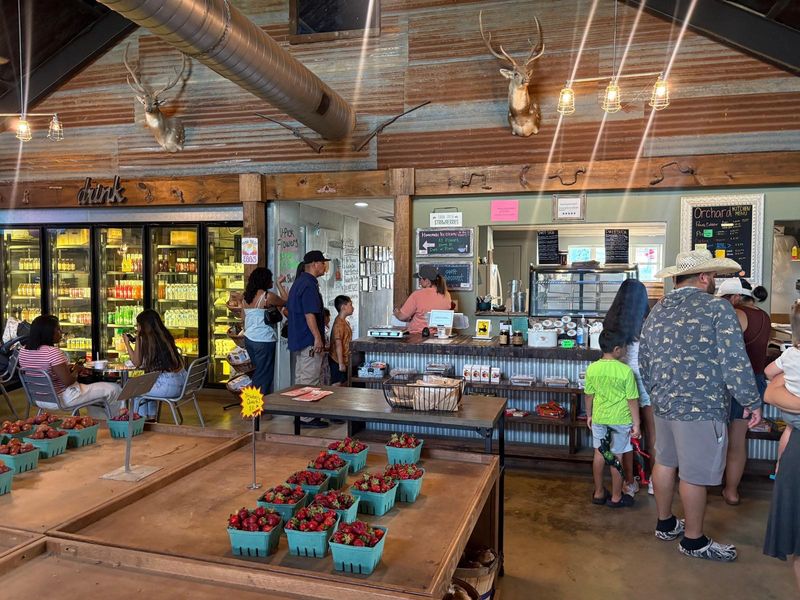 Delicious Casual Dining and Peach Soft Serve Delicious Casual Dining and Peach Soft Serve