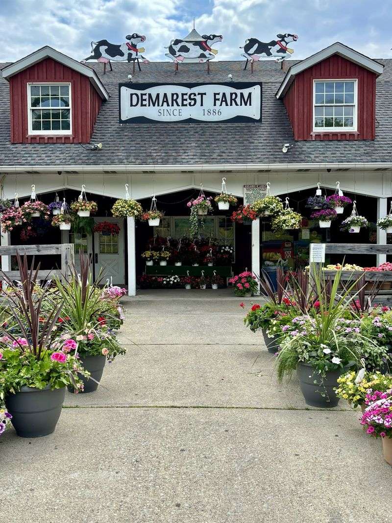Demarest Farms Demarest Farms