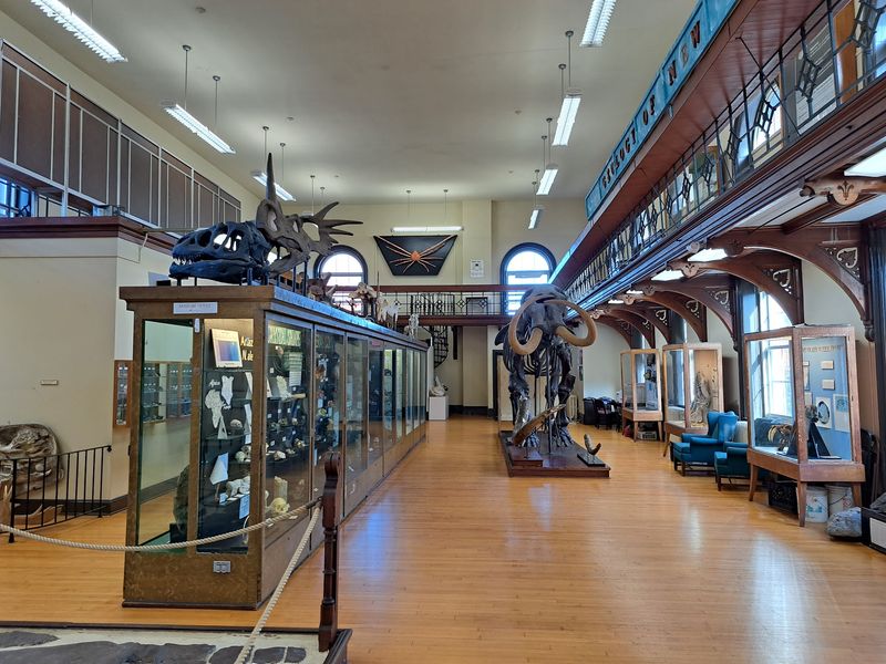 Discover New Jersey’s Prehistoric Past