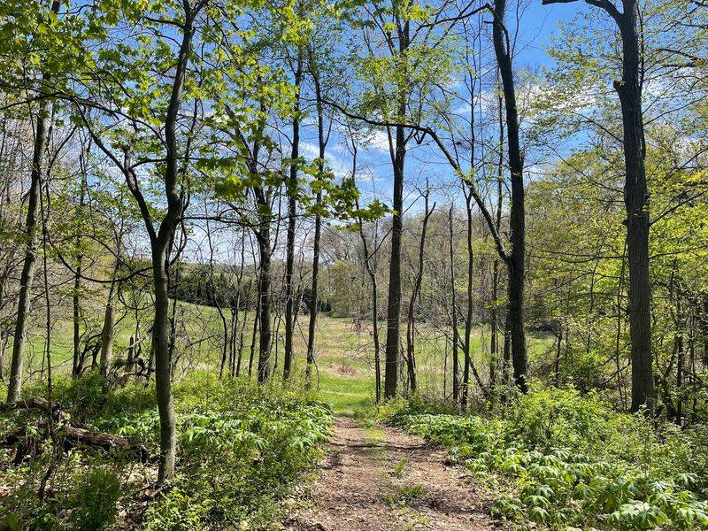 Dr. T.K. Lawless Park - Cass County Dr. T.K. Lawless Park - Cass County