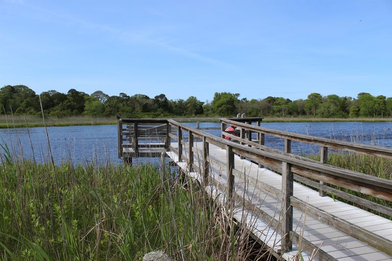 Duck Pond Trail - Cape May Point State Park Duck Pond Trail - Cape May Point State Park
