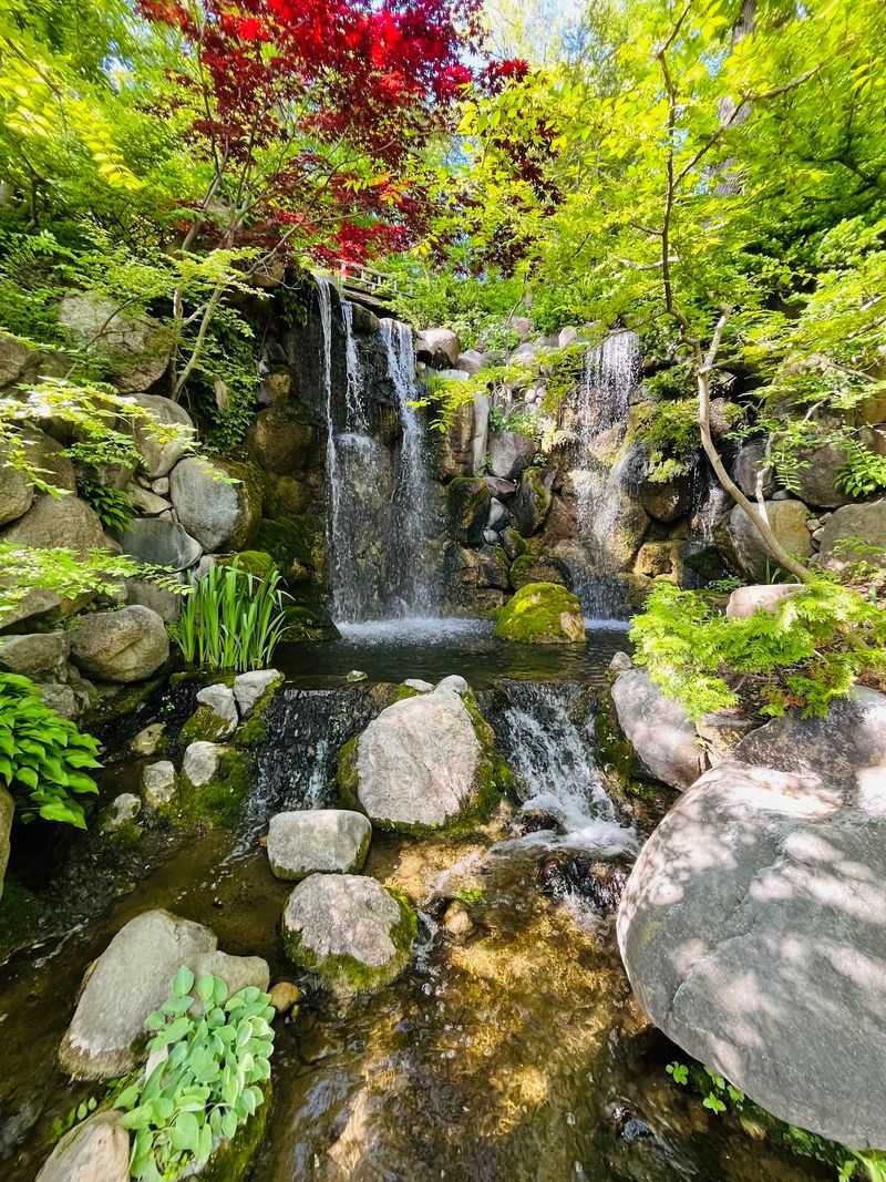 Anderson Japanese Gardens Anderson Japanese Gardens