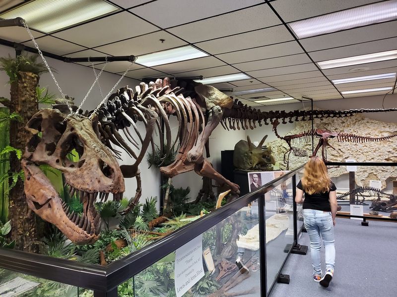 Earth Experience, Middle Tennessee Museum of Natural History, Murfreesboro