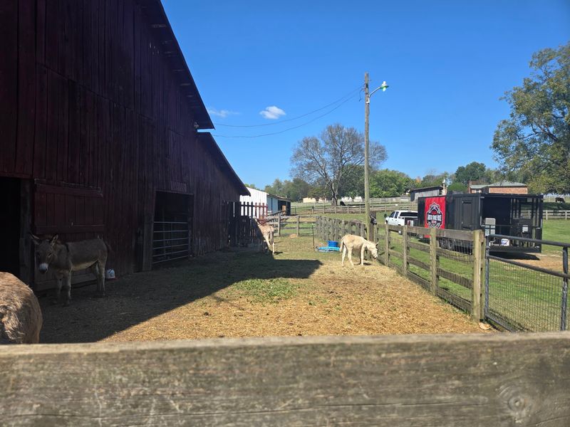 Easy Day Trip from Nashville and Surrounding Areas