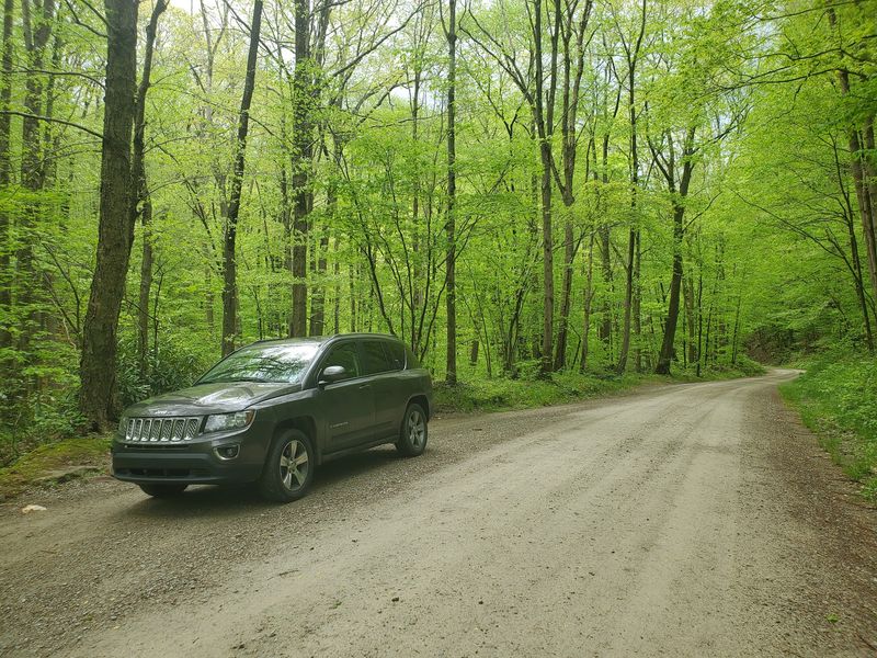 Easy Roadside Access, But Still a Little Hidden