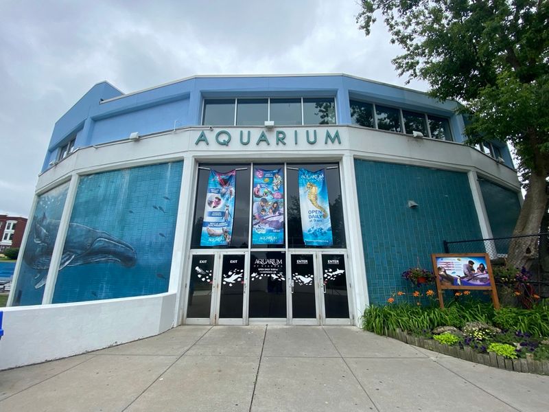 Easy To Pair With A Niagara Falls Family Day