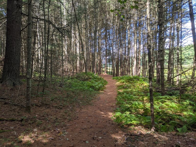 Easy Trails That Welcome Casual Walkers Easy Trails That Welcome Casual Walkers