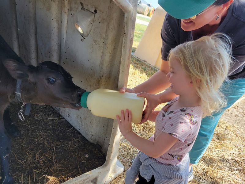 Educational Farm Tours That Actually Teach