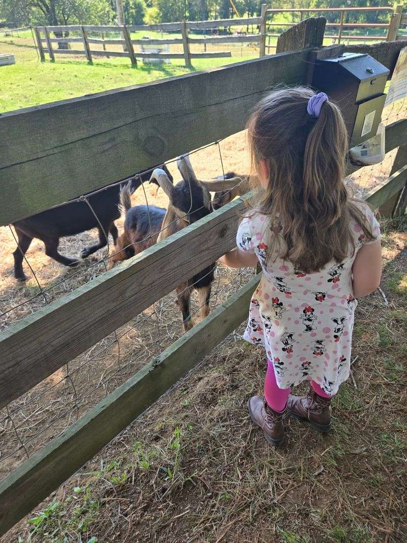 Educational Programs That Inspire Young Animal Lovers