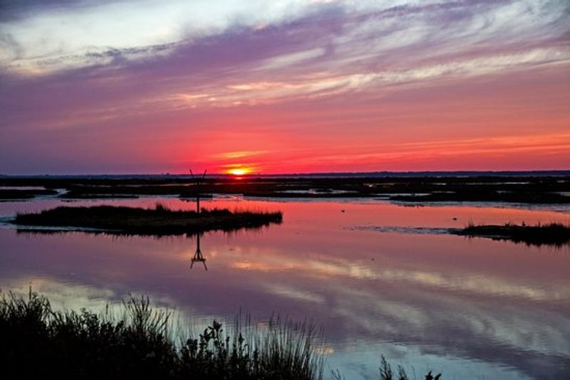 Edwin B. Forsythe National Wildlife Refuge - Galloway Edwin B. Forsythe National Wildlife Refuge - Galloway