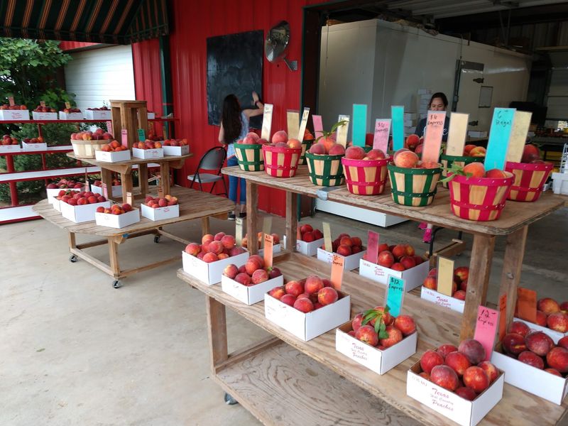 Engel Orchards (Fredericksburg) Engel Orchards (Fredericksburg)