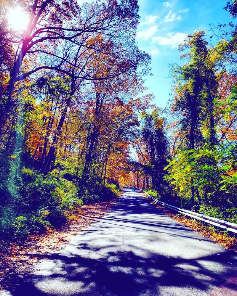 Every Season Brings Its Own Kind of Magic Every Season Brings Its Own Kind of Magic