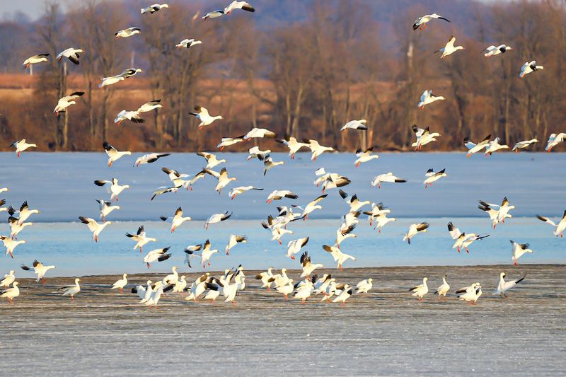 Every Season Brings a Different Wildlife Surprise