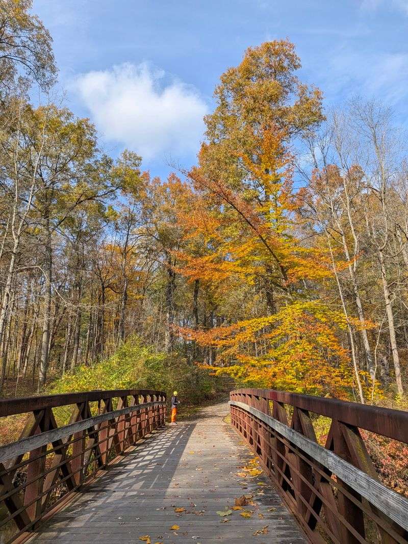 Every Season Changes the Bridge's Mood