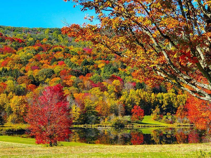 Every Season Opens the Door to Another Adventure Every Season Opens the Door to Another Adventure