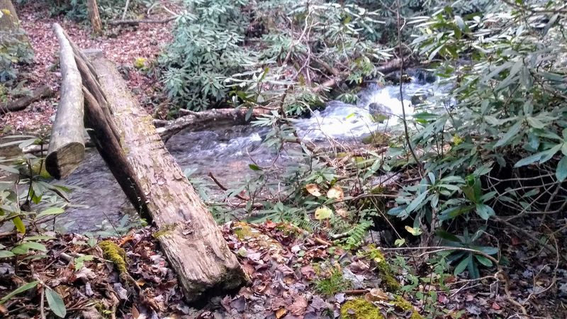 Anthony Creek Trail