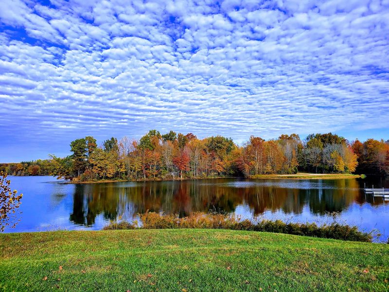 Water Views Break Up The Woods