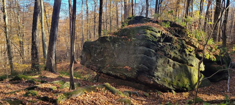 Faces In The Stone