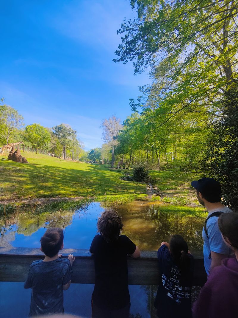 Families Get More Than Animal Viewing Here