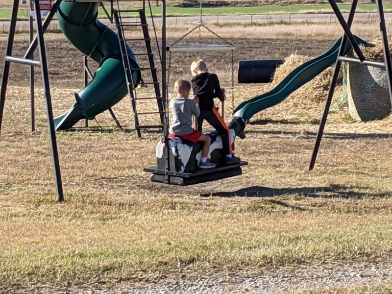 Family-Friendly Playground And Picnic Spot