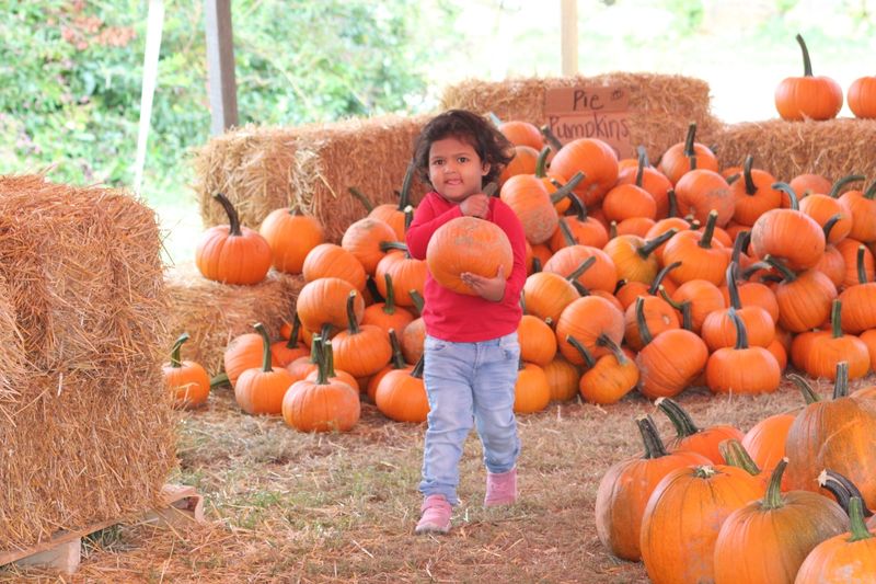 Family Traditions Grow Here Year After Year Family Traditions Grow Here Year After Year