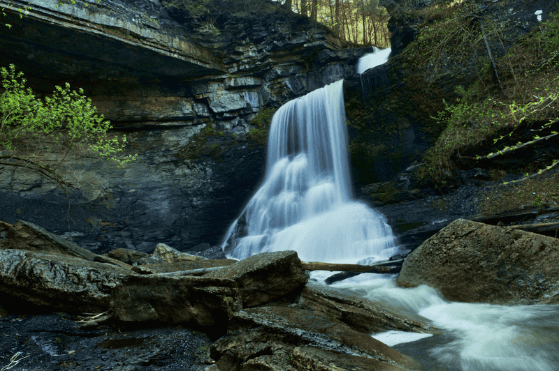 Fillmore Glen State Park (Moravia)