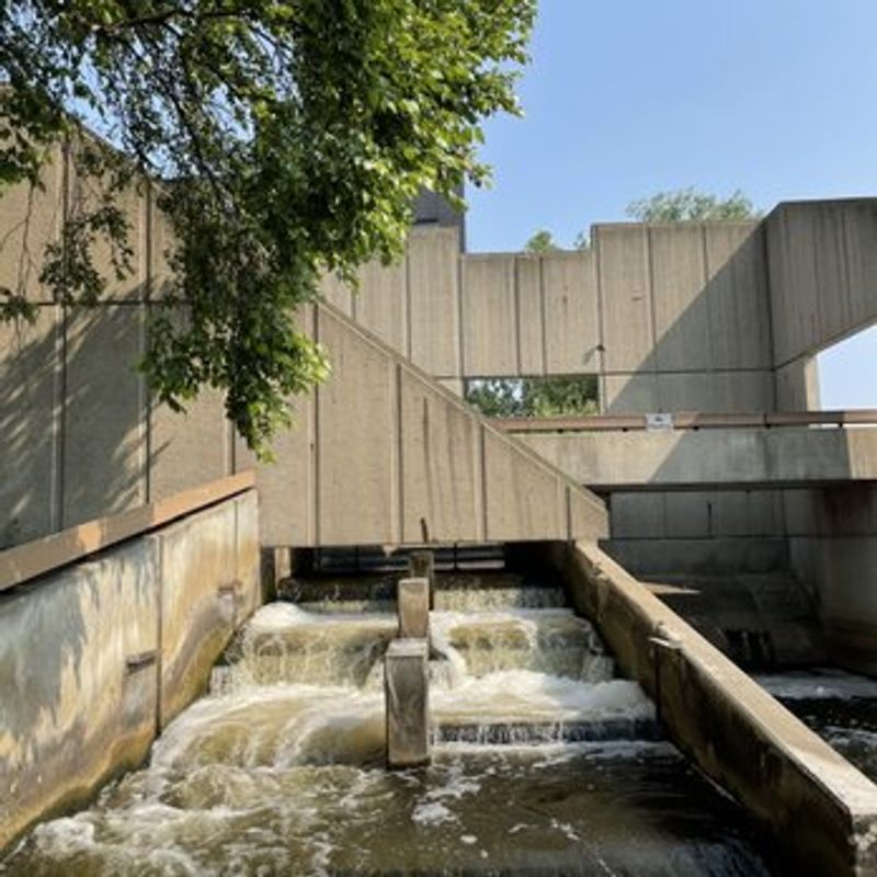 Fish Ladder Park