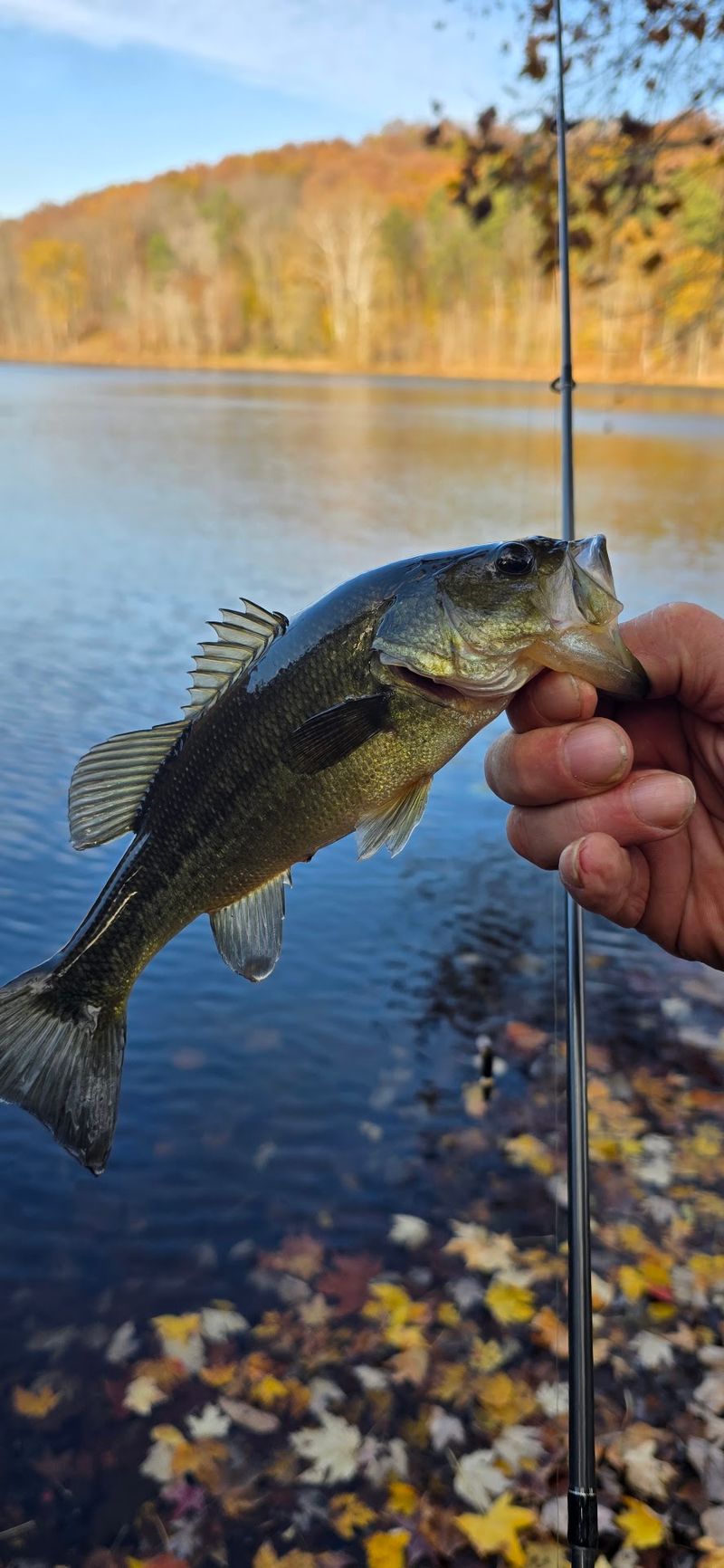 Fishing Here Feels Relaxed, Not Rushed Fishing Here Feels Relaxed, Not Rushed