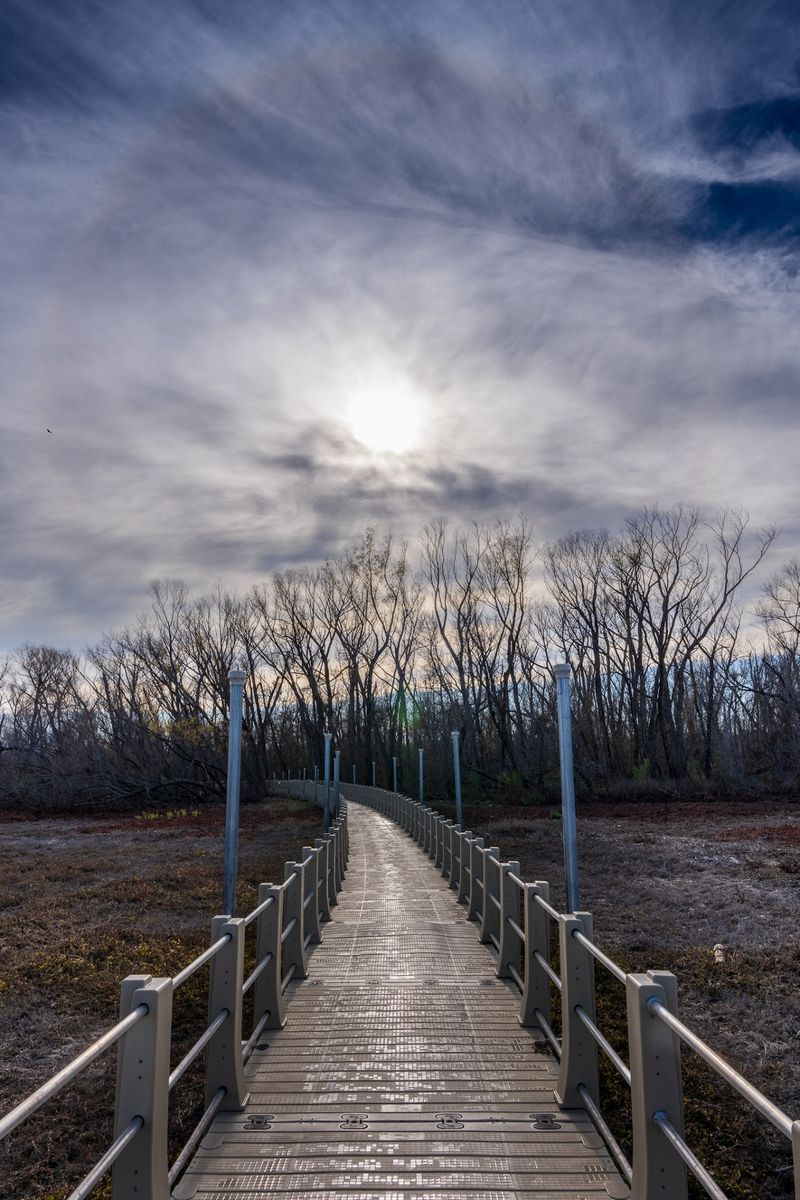 Floating Bridge Lake Weatherford (Weatherford)