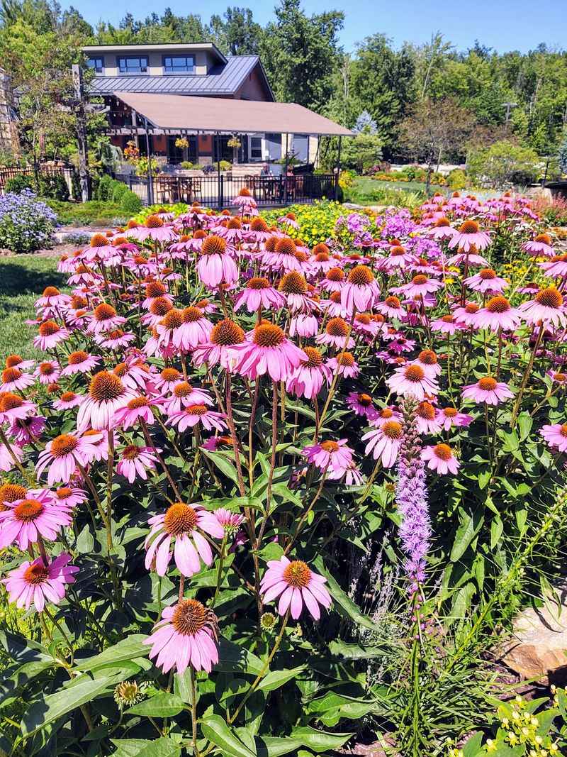 Flower Beds That Keep the Garden Full of Motion